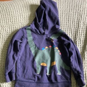 Carter's Purple and Green Dinosaur Hoodie Sweatshirt